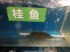 -惠丰堂饭庄·烤鸭·京味菜(西北旺·唐家岭店)