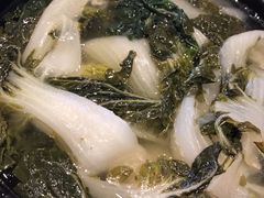 煲淋白菜-沙龙酒家