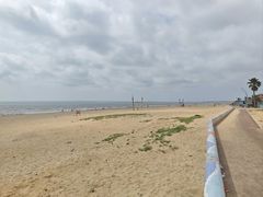 -东海岛旅游度假区