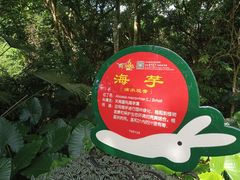 -呀诺达热带雨林