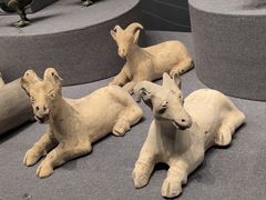 -广西壮族自治区博物馆