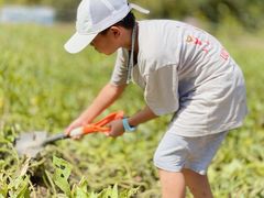 -前小桔亲子创意农场·草莓采摘·露营烧烤