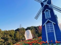 -铁山坪森林公园