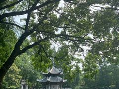 -习家池