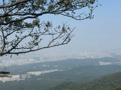 -紫金山山顶公园