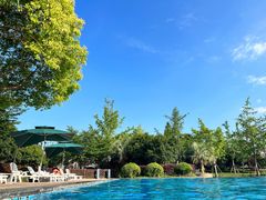 -浦鸿会游泳健身中心·Ambassy Club PD(金桥碧云国际社区店)