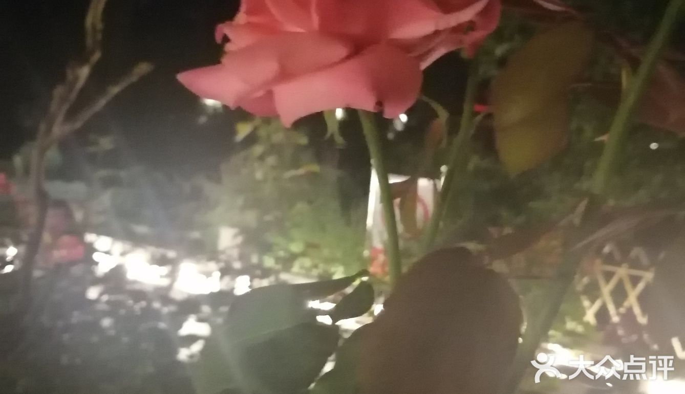 北二环的江南风景区[加油]积水潭西[呲牙]