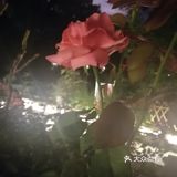 北二环的江南风景区[加油]积水潭西[呲牙]