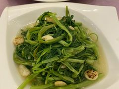 -宝燕壹号(徐汇店)