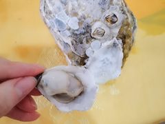 生蚝-蚝专家(北滘店)