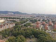 -华西村