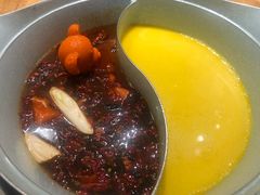 -青瓷火锅料理(西单大悦城店)