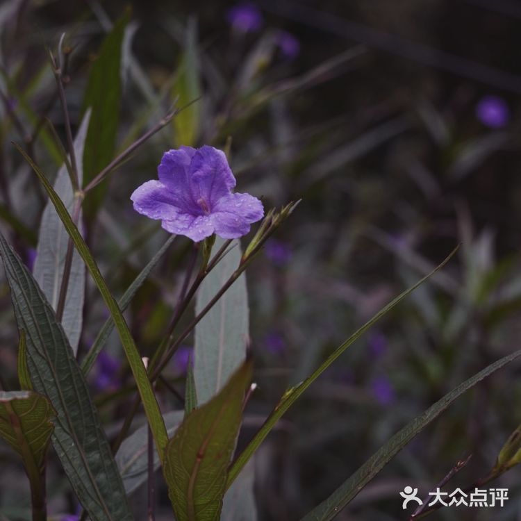 初秋，宜登高望远