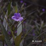 初秋，宜登高望远