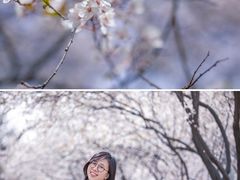 -山东师范大学(千佛山校区)