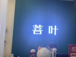-菩叶脱发白发中心