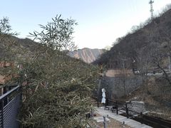 -泰莲庭·溪畔餐厅(雁栖湖店)