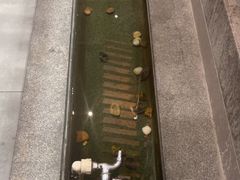 -小黑牛烤肉(聚隆店)
