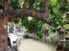 -小洲村