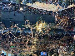 -八斗鸡·湘土菜(国贸店)