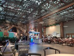 -杭州开元森泊度假乐园