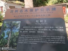 -北京上方山国家森林公园