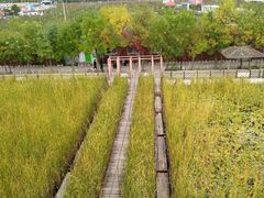 -河北村民俗体验园