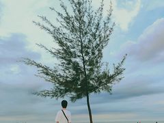 -白沙门生态公园
