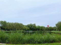 -中关村生命科学园