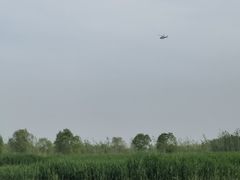 -白洋淀风景区