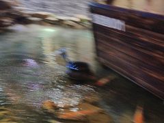 -鱼满舱·鲜活海鲜·正宗鲁菜