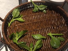 -云尊府云南菜·蒸汽石锅鱼(学清路店)