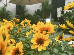 -漫笙舍Manse·咖啡·民宿