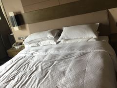 -扬州绿地铂骊酒店
