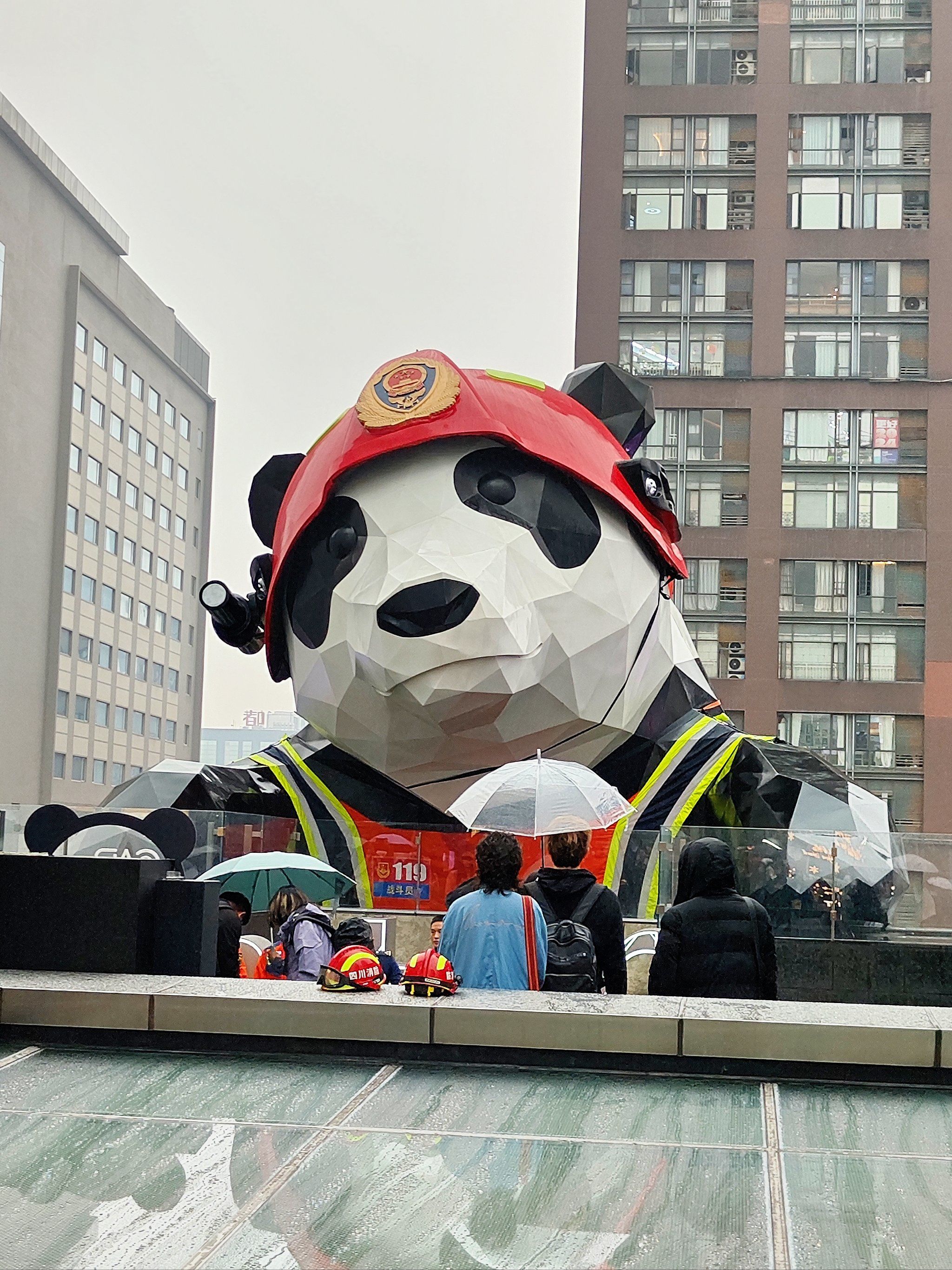 成都春熙路ifs大熊猫,快来拍!