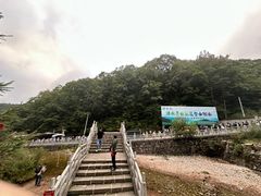 -朱雀国家森林公园
