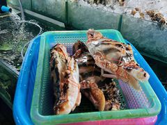 -班赞海鲜市场