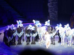 -珠海横琴长隆《卡卡虎奇遇记》