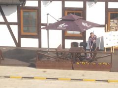 -金山农民画村-枫泾波兰倒置屋