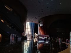 -郑州大剧院
