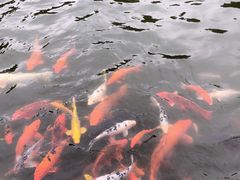 -白马涧龙池景区
