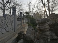 -莲湖公园