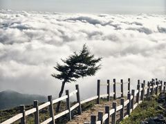 -灵山