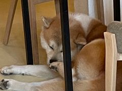-餐酒吧Com-ing Bar(上海路店)
