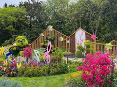 -上海共青森林公园