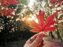 -南京枫彩漫城