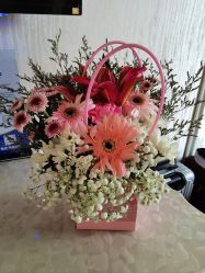 -东方幸福国际母婴月子会所(沙湾公园店)