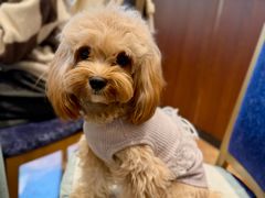 -顺风山庄(水濂山店)