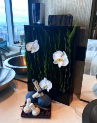 -广州四季酒店·花水疗中心·高空Spa