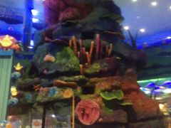 -青岛嘉年华主题乐园